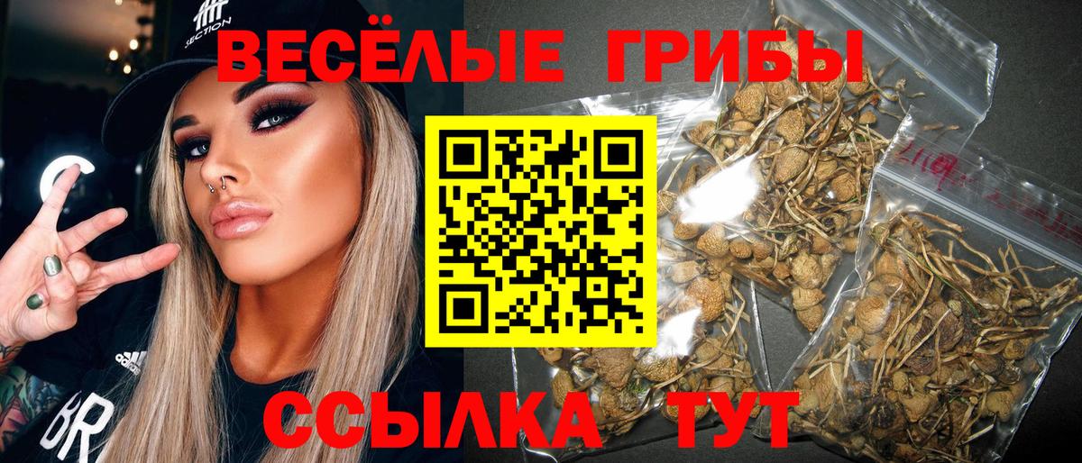 Псилоцибиновые грибы GOLDEN TEACHER Кстово