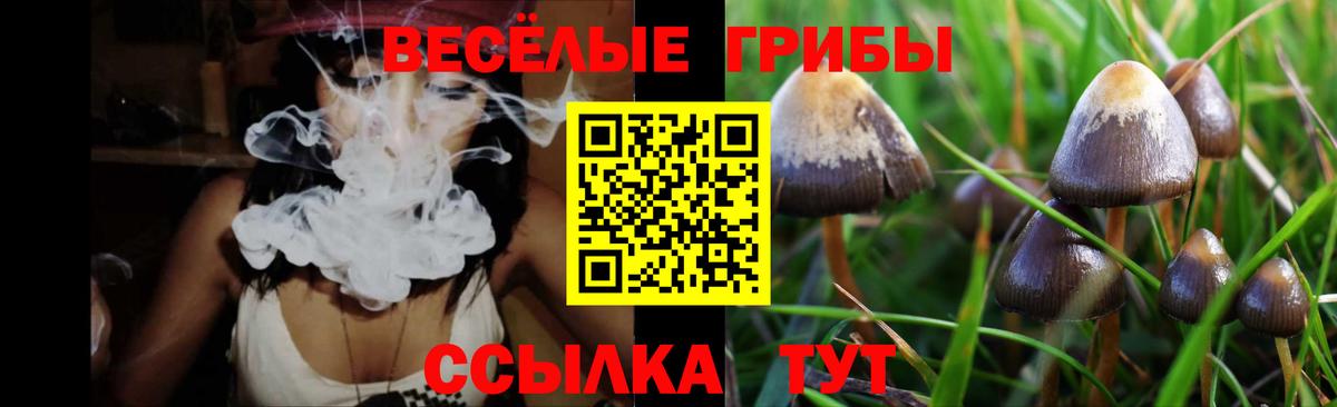 Кстово  Псилоцибиновые грибы прущие грибы  Вход с VPN 